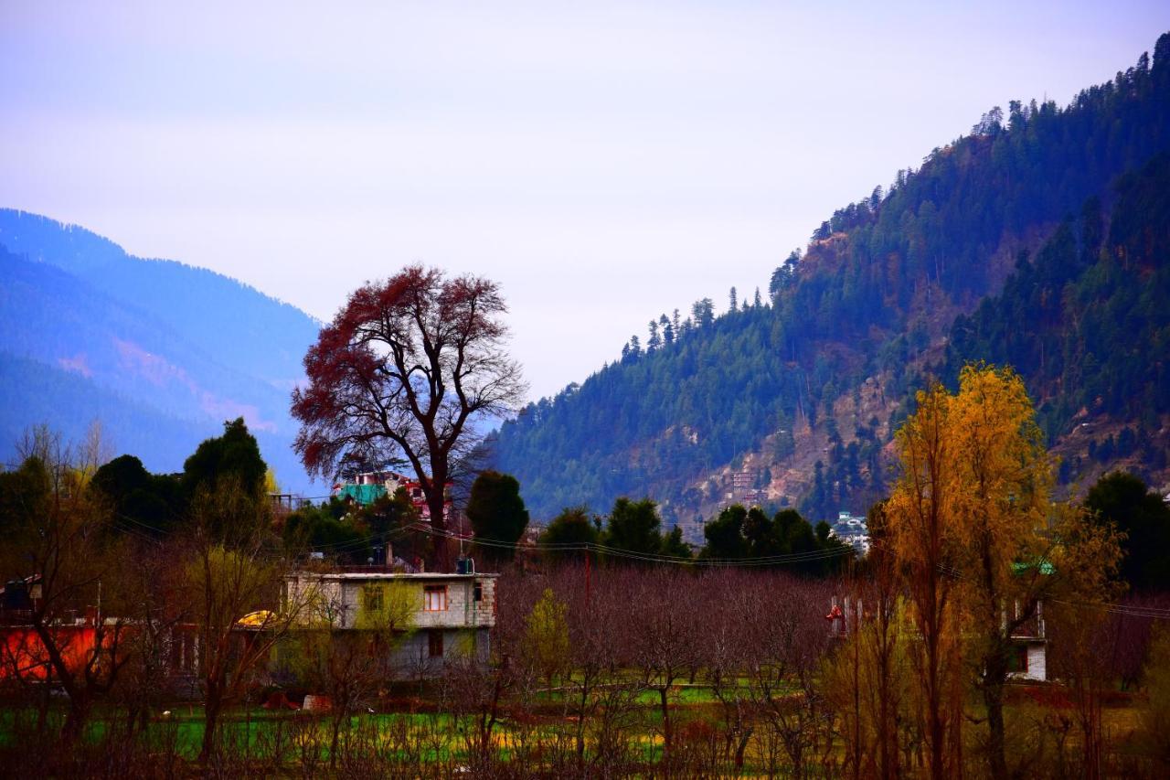 Hotel Kingston Manali  Exterior photo